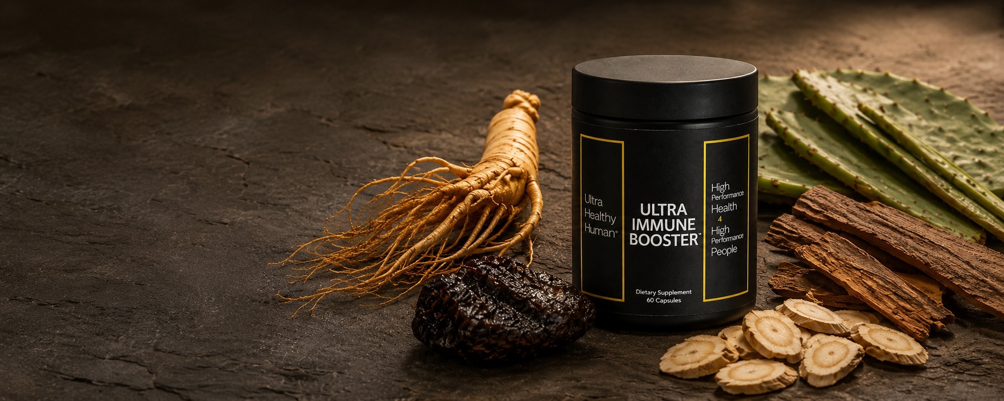 Shilajit resin, ginseng root, wild-crafted nopal cactus, Cat's Claw bark, and Astragalus on dark slate