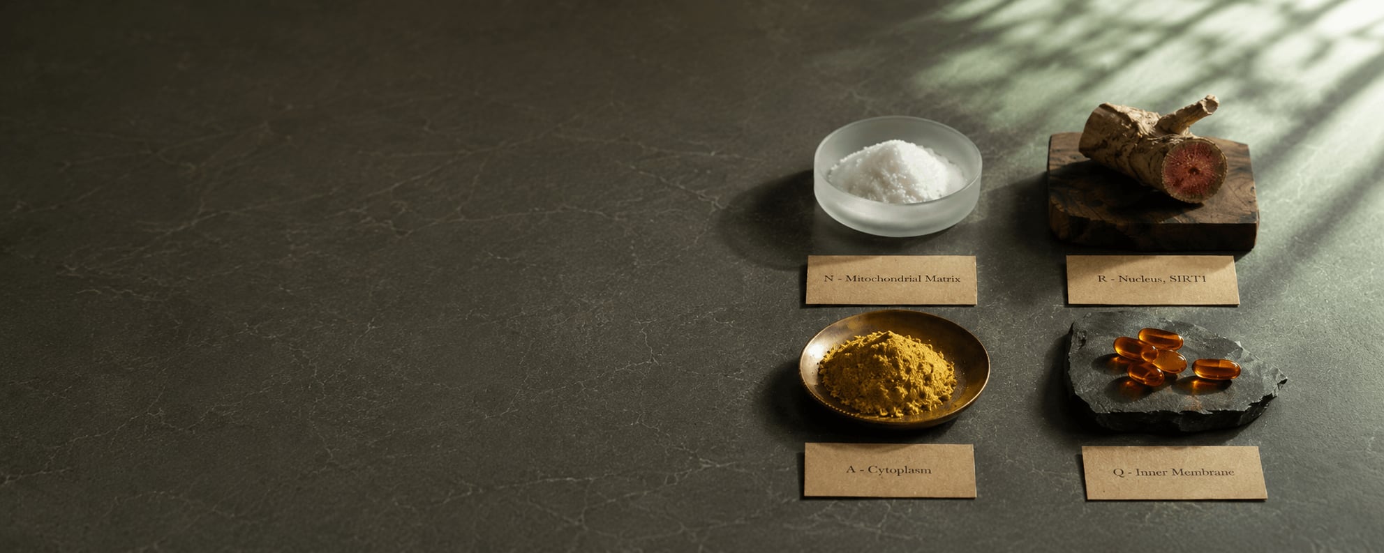 Ultra Rejuvenate apothecary tray with four labeled longevity-stack clusters arranged on dark slate