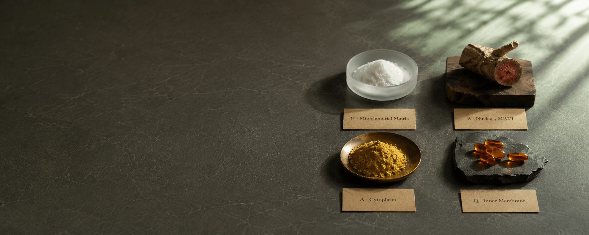 Ultra Rejuvenate apothecary tray with four labeled longevity-stack clusters arranged on dark slate
